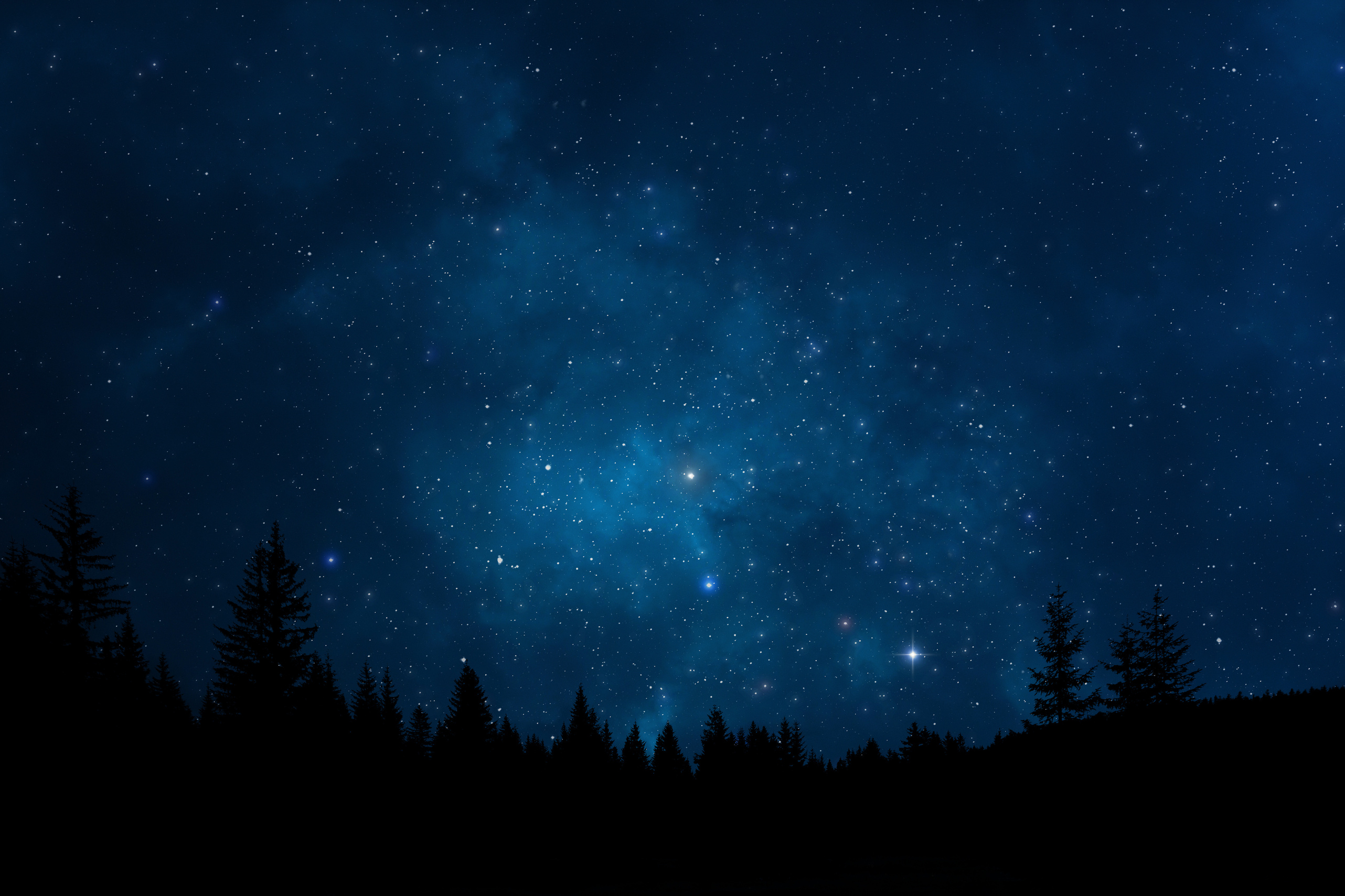 Night sky landscape